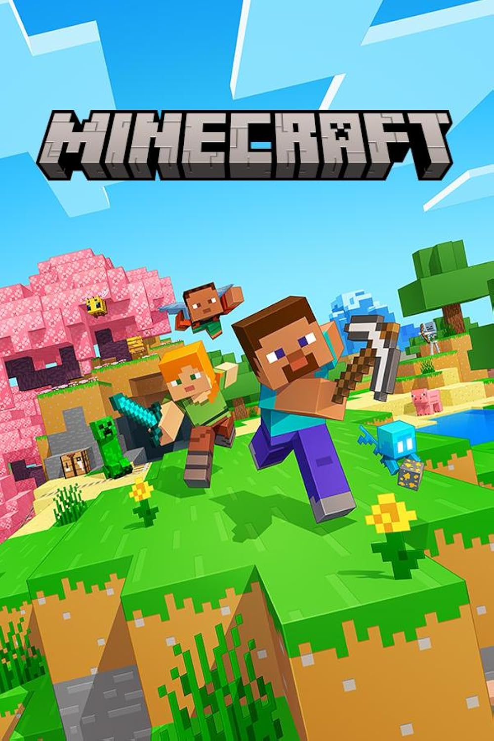 Jaquette de Minecraft
